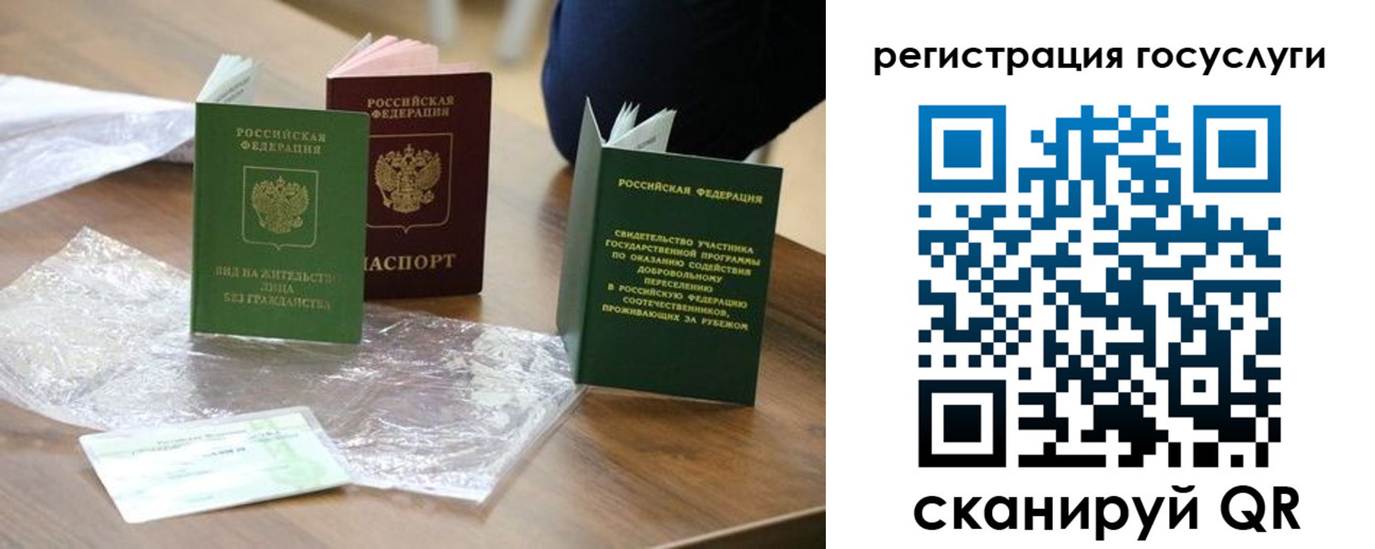 купить прописку в Бабаево
